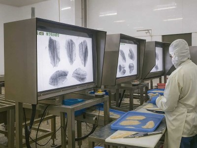 How X-Ray Detectors Boost Food Inspection Accuracy: Technical Deep-Dive on X Ray Food Inspection Equipment | SameGram