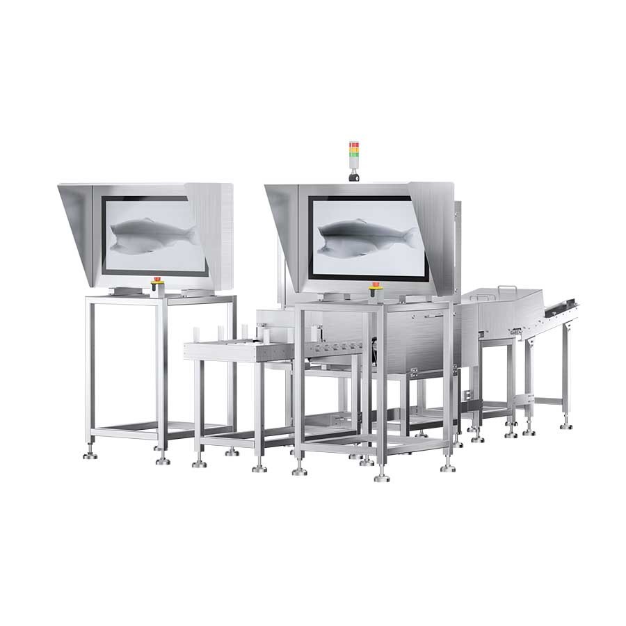 Fish Bone X-ray Inspection System 