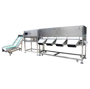 Waterproof Multistage Weight Sorting Machine for Food Industry | SWS-4523L2-C6