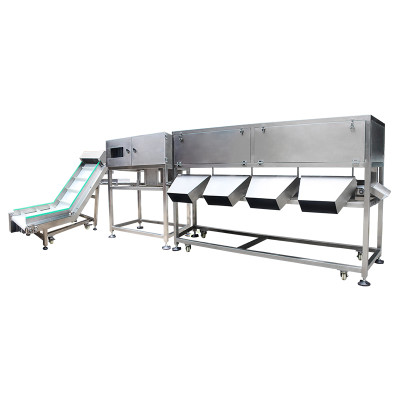 Waterproof Multistage Weight Sorting Machine for Food Industry | SWSD-4523L2