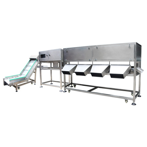 Waterproof Multistage Weight Sorting Machine for Food Industry | SWS-4523L2-C6