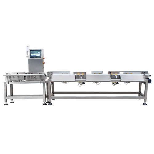 Automatic Multistage Weight Sorting Machine for Sea Food – SWS-5012L2-C6