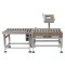 Roller Dynamic Checkweigher for Large Packages | SC3-10060L30