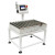 Roller Dynamic Checkweigher for Large Packages | SC3-10060L30