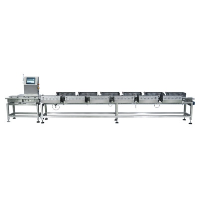 Automatic Multistage Weight Sorting Machine for Sea Food – SWS-5012L2-C6