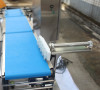 Pusher Rejector System – Checkweigher with Rejector for Industrial Lines
