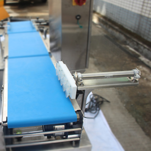 Pusher Rejector System – Checkweigher with Rejector for Industrial Lines