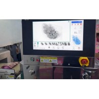 X-ray Inspection Systems for Food:Vacuum-Packed Roasted Duck