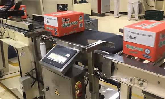 Instant Noodle Checkweigher Case