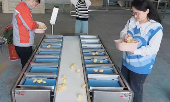 Belt Combination Weigher Boosts Jackfruit Processing