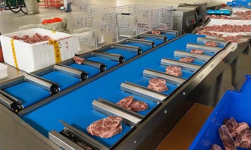 Fresh Beef Portioning: High-Precision Linear Combination Weigher Case Study