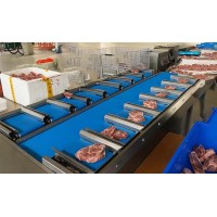 Fresh Beef Portioning: High-Precision Linear Combination Weigher Case Study