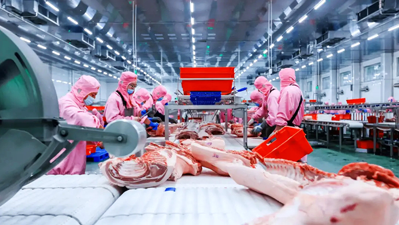 Meat & Meat Products