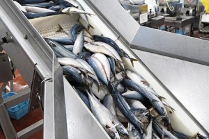 Stainless Steel Checkweigher & SUS316 Weighing System | SameGram