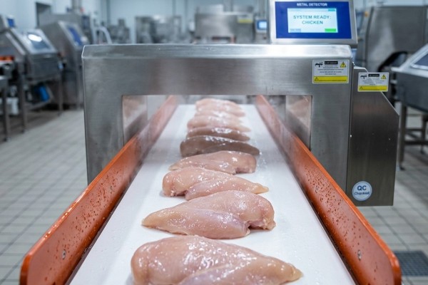 Cómo prevenir los rechazos falsos en la detección de metales en alimentos húmedos | SameGram