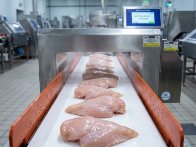 Cómo prevenir los rechazos falsos en la detección de metales en alimentos húmedos | SameGram