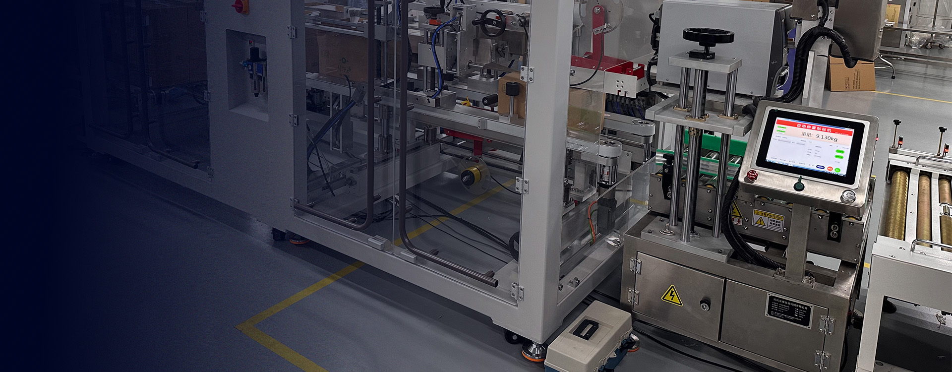 Dynamic Checkweighing And Labeling System