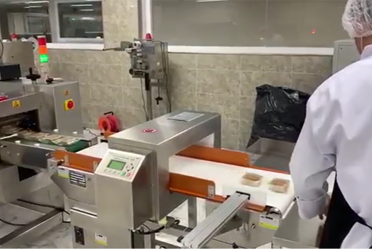 Conveyor Belt Metal Detector Application