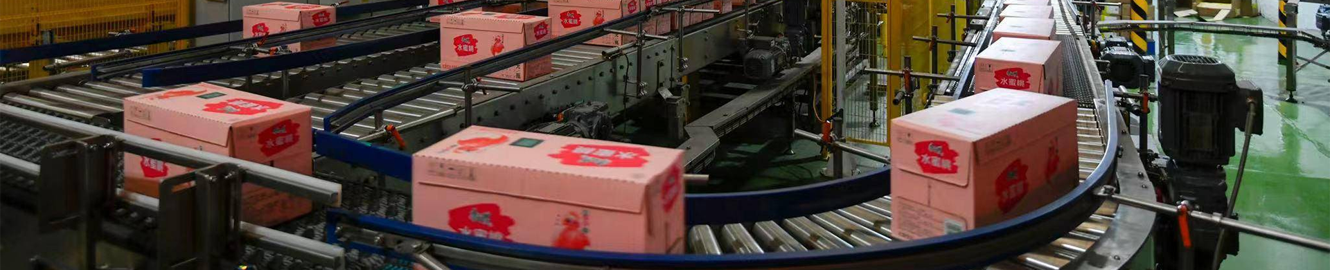 Automated production lines for convenience food and takeaway food industries