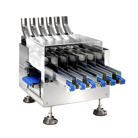 Multi-lane Checkweigher SCP6