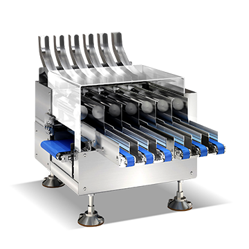 multi channel checkweigher