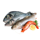 fish and shrimp weight sorting equipment