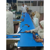 Case Study: Conveyor Metal Detector Ensuring Chocolate Food Safety