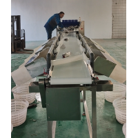 SameGram Automatic Weight Sorter: Improving Accuracy and Productivity in Fish Processing