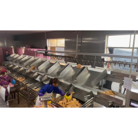 Dual-Layer Automatic Weight Sorting Solution for Poultry Processing