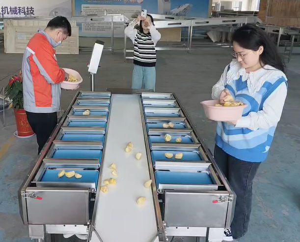 Belt type automatic counterweight combination weigher combination scale accurately grades jackfruit pulp by weight