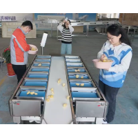 Enhancing Jackfruit Processing Efficiency with Belt-Type Automatic Combination Weigher