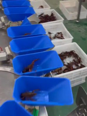 Tray weight sorting machine accurately grades crayfish according to weight