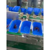 Precision Sorting to Boost Efficiency in Seafood Processing