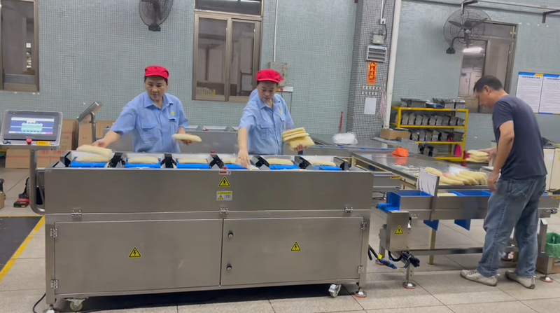 Industrial Checkweigher Online Weighing Systems