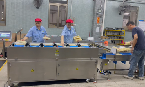 High-Precision Belt-Type Automatic Counterweight Combination Weigher for Unpackaged Vermicelli Production