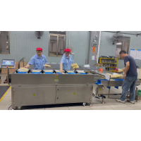 High-Precision Belt-Type Automatic Counterweight Combination Weigher for Unpackaged Vermicelli Production