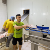 Boosting Efficiency in Poultry Processing: SameGram's Weight Sorter Success in Turkey