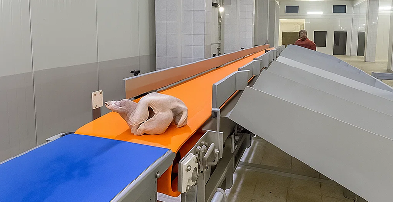 Checkweigher Applied in the Food Industry