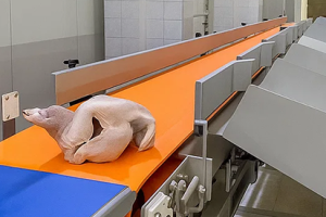 Checkweigher Types and Applications: Selection Guide with Industry Case Studies