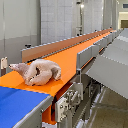 Checkweigher Guide: Types, Applications & Selection Tips