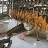 Automatic Checkweigher Supply and Demand Analysis in Key Industries
