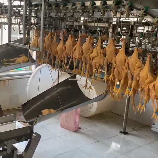 Automatic Checkweigher Supply and Demand Analysis in Key Industries