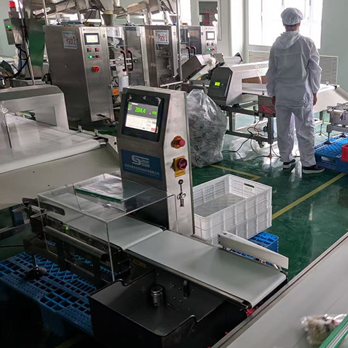 Ultimate Guide to Buying Industrial Metal Detectors: Tips & Precautions