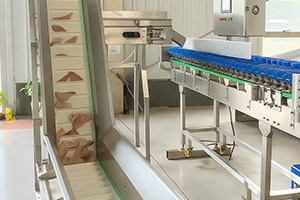 Top Factors Influencing Checkweigher Prices | SameGram Guide