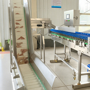 Top Factors Influencing Checkweigher Prices | SameGram Guide