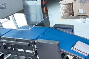 Custom Inline Checkweigher Integration for Conveyors | SameGram
