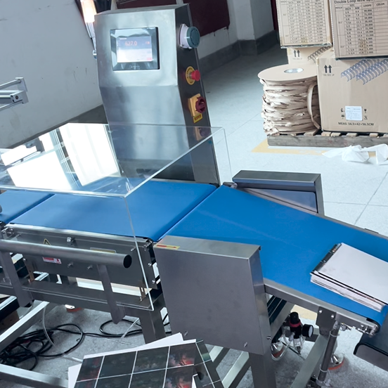 Custom Inline Checkweigher Integration for Conveyors | SameGram