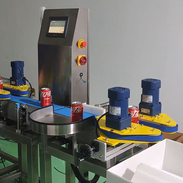 Checkweigher Market Trends & Growth 2025: In-Depth Analysis of High-Precision Intelligent Checkweigher