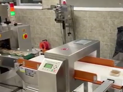 Ultimate Guide to Conveyor Metal Detectors | SameGram