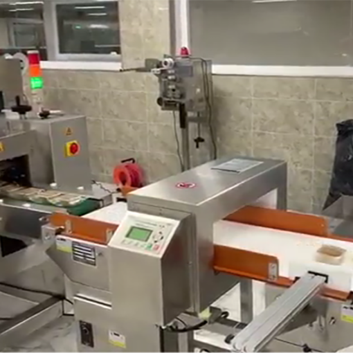 Ultimate Guide to Conveyor Metal Detectors | SameGram